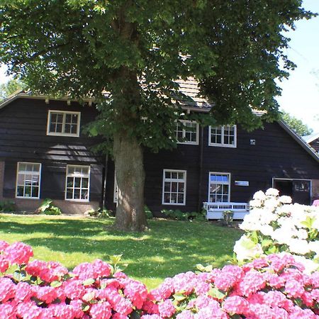 Op Zestien Apartment Hippolytushoef Luaran gambar